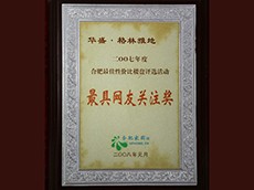 2007年度最具網(wǎng)友關(guān)注獎（華盛·格林雅地）