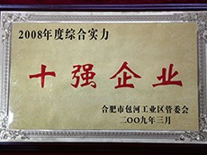 2008年度包河工業(yè)區(qū)綜合實力十強(qiáng)企業(yè)