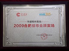 2009年度合肥樓市金牌案場（華盛格林雅地）