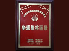 2009年合肥經濟圈主流媒體推薦樓盤